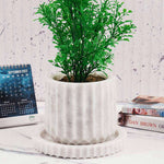 6-Inch Marble Planters
