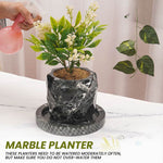 6 Inches Black Marble Planter