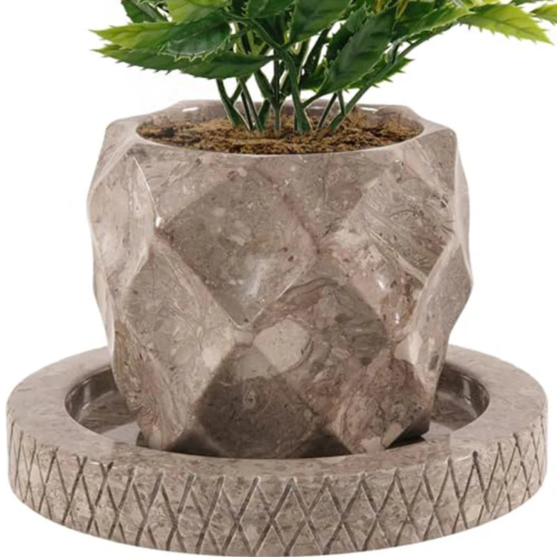 6 Inches Oceanic Planters For Floor