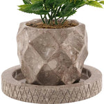 6 Inches Oceanic Planters For Floor