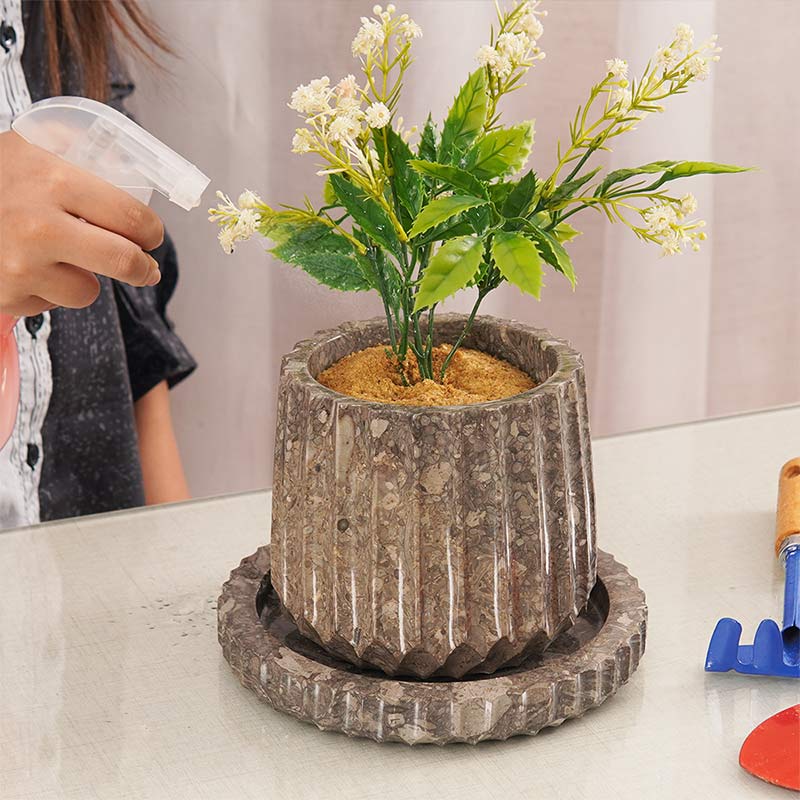 6-Inch Marble Planters for Hydrangea - Indoor & Outdoor Use