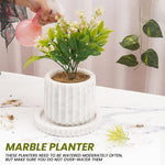 Handcrafted Marble Planters
