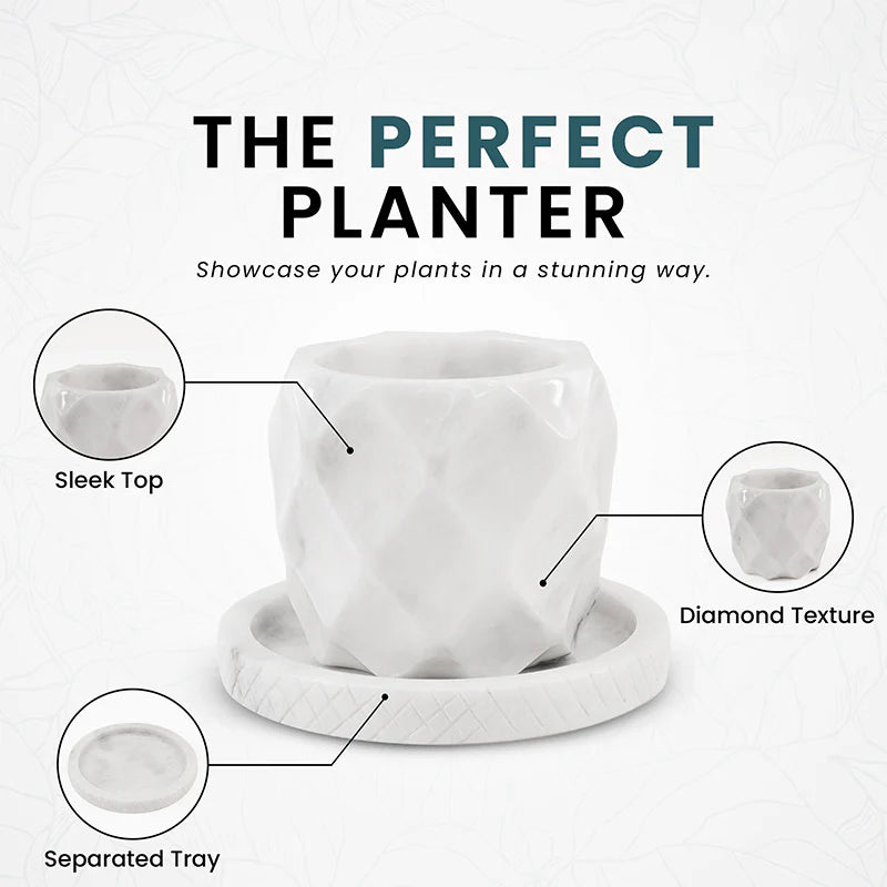 Handmade 6 Inches White Planters For Floor