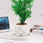 Marble_White_Planter_For_Plant_4_Inches