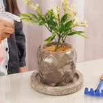 Oceanic 6 Inches Marble Planters For Floor