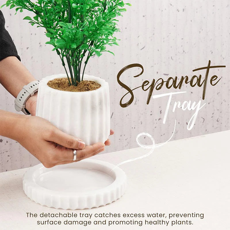 White Marble Planters or Floor